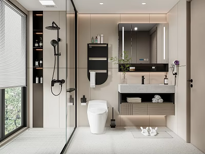 Modern Bathroom Interior Design With Glass Shower Enclosure White Toilet And Vanity Mirror 3d model