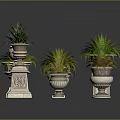 Green Plants in Various Decorative Planters with Different Designs and Heights on Dark Reflective Surface