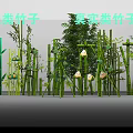 Cartoon and Realistic Bamboo Varieties with Green Stalks Leaves and Details