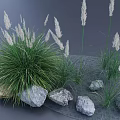 Green Grass With White Spikelets Growing Surrounded By Various Stones 3d model