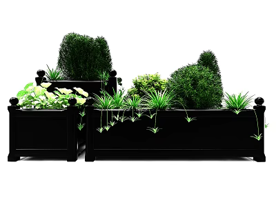 Bonsai Potted Plants In Black Planters With Lush Green Foliage And Shaped Shrubs 3d model