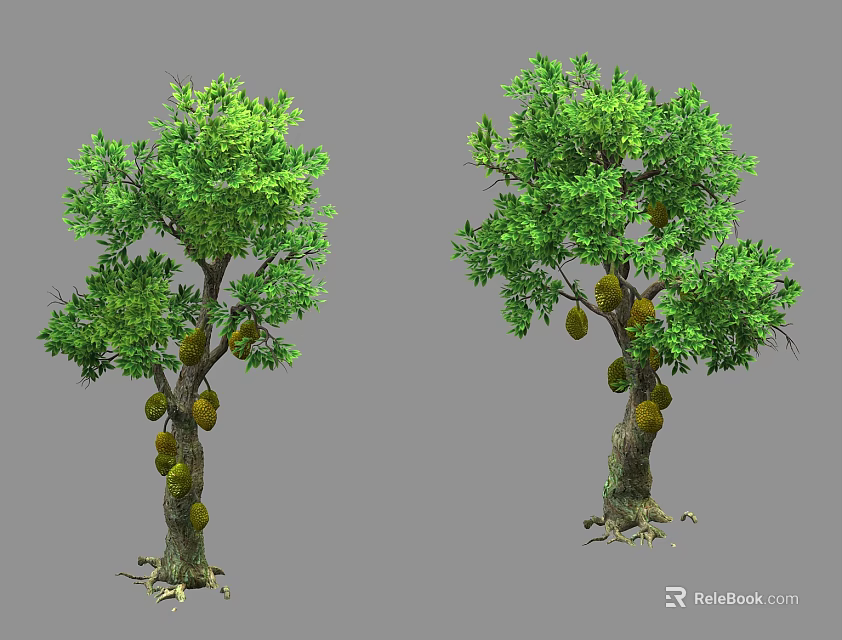Tall Jackfruit Trees With Lush Green Leaves And Hanging Ripe Fruits 3d model 