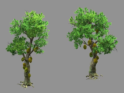 Tall Jackfruit Trees With Lush Green Leaves And Hanging Ripe Fruits 3d model