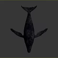 Whale 3D Model With Dark Blue Skin On Gray Background And Soft Lighting