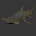 Realistic Detailed Hammerhead Shark 3D Model with Lifelike Features on Smooth Surface