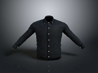 Black Long Sleeve Shirt With Classic Design And Button Front For Daily Wear 3d model