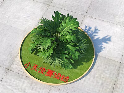 Philodendron Xanadu Shrub with Lush Green Leaves in Circular Green Bed Showcasing Vibrant Tropical Foliage 3d model