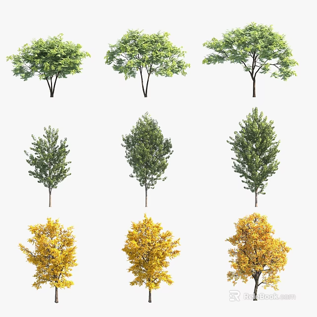 Different Tree Varieties Featuring Green And Yellow Foliage In Various Shapes 3d model