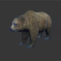 Realistic 3D Model of Large Brown Bear with Thick Fur on White Background