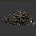 Natural Pile of Twigs Leaves and Branches with Organic Debris