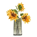 Two Elegant Glass Vases With Fresh Sunflowers And Scattered Petals