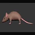 Three Colored Mice White Gray Brown 3D Models on Dark Background with Reflection