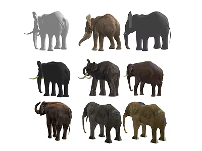 Modern Elephant Animals 3d model