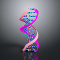 Colorful DNA Double Helix Molecular Model With Pink Strands And Blue Purple Nucleotides