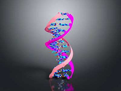 Colorful DNA Double Helix Molecular Model With Pink Strands And Blue Purple Nucleotides 3d model