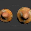 Two Orange Mushrooms With White Spots And Stems On Dark Background