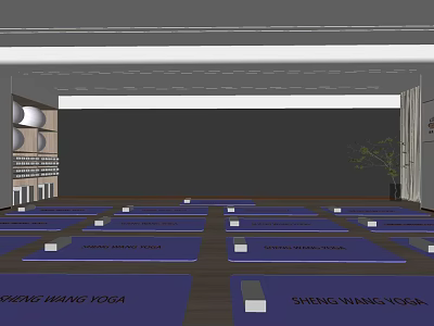 Spacious Yoga Studio Interior With Neatly Arranged Blue Yoga Mats And Wall Mirrors For Fitness 3d model
