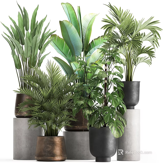 Various Green Shrubs With Large Leaves In Different Material Pots On Gray Cylindrical Pedestals 3d model 