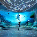 Immersive Ocean Themed Cultural Center Featuring Dolphin Fish Projection Floor Light Effects And Curved Screen