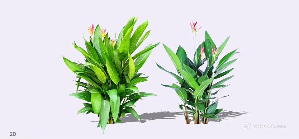Lush Green Leaf Shrubs With Pink And Yellow Flowers For Garden Decoration 3d model 