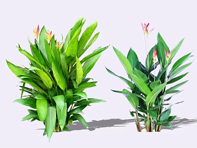 Lush Green Leaf Shrubs With Pink And Yellow Flowers For Garden Decoration 3d model