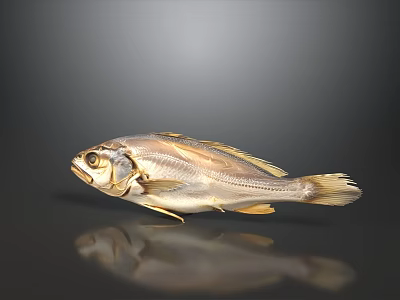 Fresh Whole Yellow Croaker Fish as Delicious Seafood Ingredient for Cooking 3d model