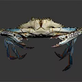 Colorful Crab With Blue Claws Red Legs And White Shell Details