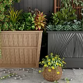 Wooden and Black Garden Planters With Various Green Plants Ferns and Outdoor Bamboo Screen