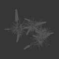 Vibrant Green Grass Blades with Soft White Fluffy Feathery Flower Plumes