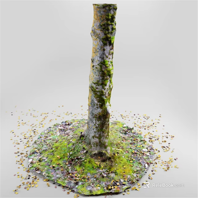 Natural Tree Trunk Themed Decorative Ornament Set With Moss And Fallen Leaves 3d model 