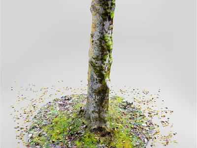 Natural Tree Trunk Themed Decorative Ornament Set With Moss And Fallen Leaves 3d model