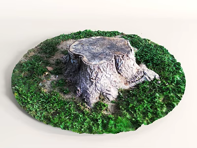 Weathered Tree Stump with Green Grass and Lush Moss Around 3d model