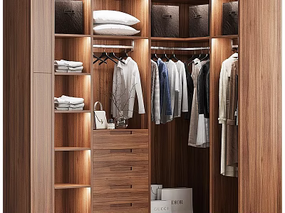 Modern Wardrobe Interior Design With Wooden Shelves Hanging Clothes Drawers And Storage 3d model