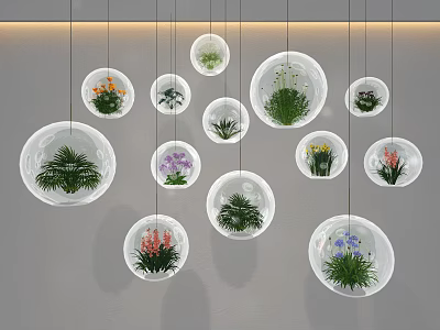 Hanging Bonsai Plants In Transparent Spherical Containers With Various Greenery Grey Wall And Light Strips 3d model