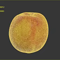 Juicy Ripe Red and Yellow Apple on Dark Background with Shiny Surface