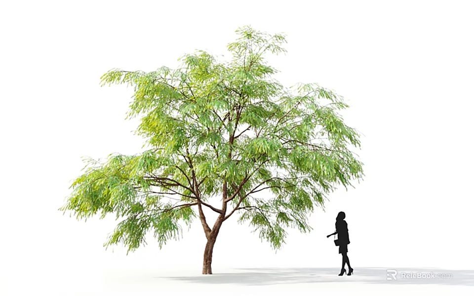 Lush Green Arbor With Brown Trunk And Person Silhouette Standing Nearby 3d model 