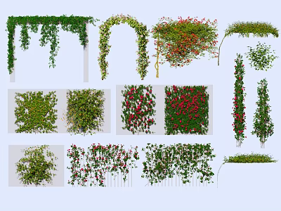 Decorative Vines in Arched Wall Covering and Hanging Designs with Green Leaves and Red Flowers 3d model