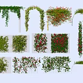 Decorative Vines in Arched Wall Covering and Hanging Designs with Green Leaves and Red Flowers
