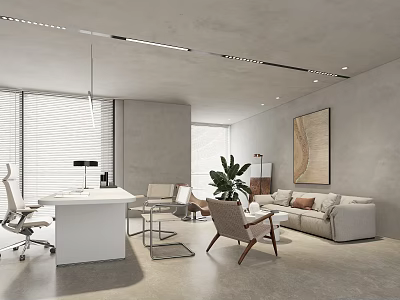 Modern Office Interior With White Desk Chair Sofa Plant And Blinds 3d model