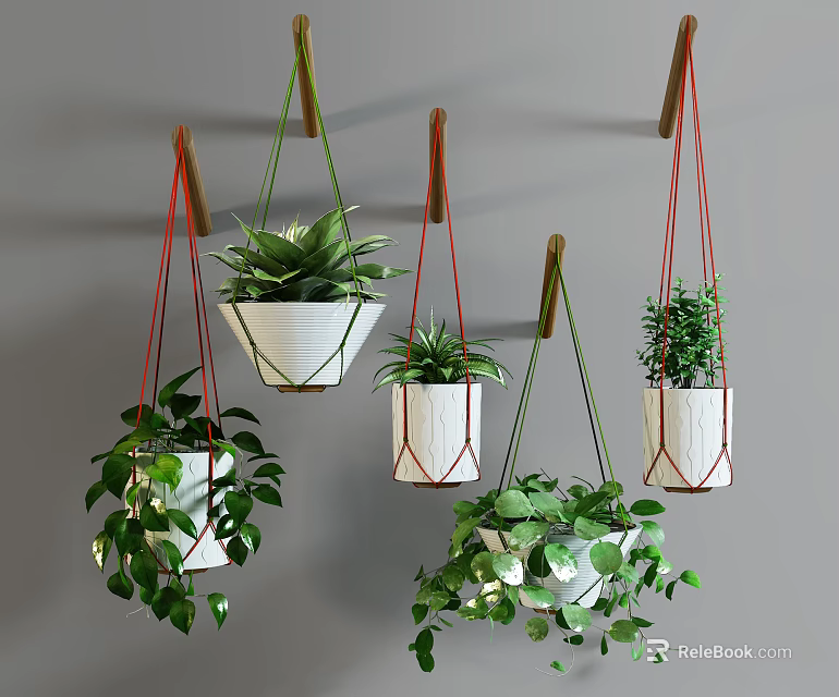 Multiple Hanging Basket Plants in White Pots with Green Foliage on Gray Wall 3d model 