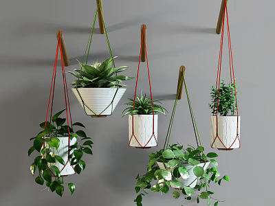 Multiple Hanging Basket Plants in White Pots with Green Foliage on Gray Wall 3d model