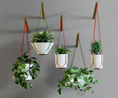 Multiple Hanging Basket Plants in White Pots with Green Foliage on Gray Wall 3d model