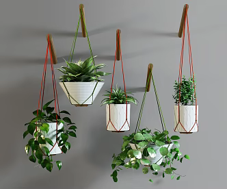 Modern hanging basket plant combination 3d model
