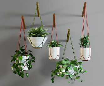 Modern hanging basket plant combination 3d model