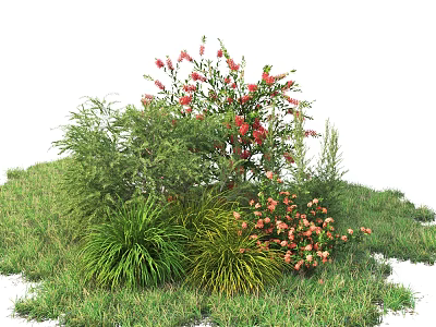 Colorful Flowering Shrubs in Garden Landscape with Green Grass and Pink Red Blooms 3d model