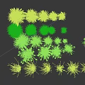 Various Green Grass Plants For Outdoor Landscaping And Garden Design