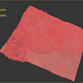 Natural Wooden Stone Slab Sample With Rough Rock Texture And Mossy Surface