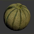 Healthy Fresh Ripe Cantaloupe Melon With Yellow Green Striped Textured Skin