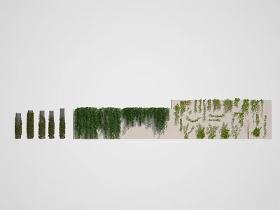 Lush Green Vines Assortment Featuring Hanging Climbing And Decorative Plant Varieties 3d model