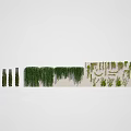 Lush Green Vines Assortment Featuring Hanging Climbing And Decorative Plant Varieties